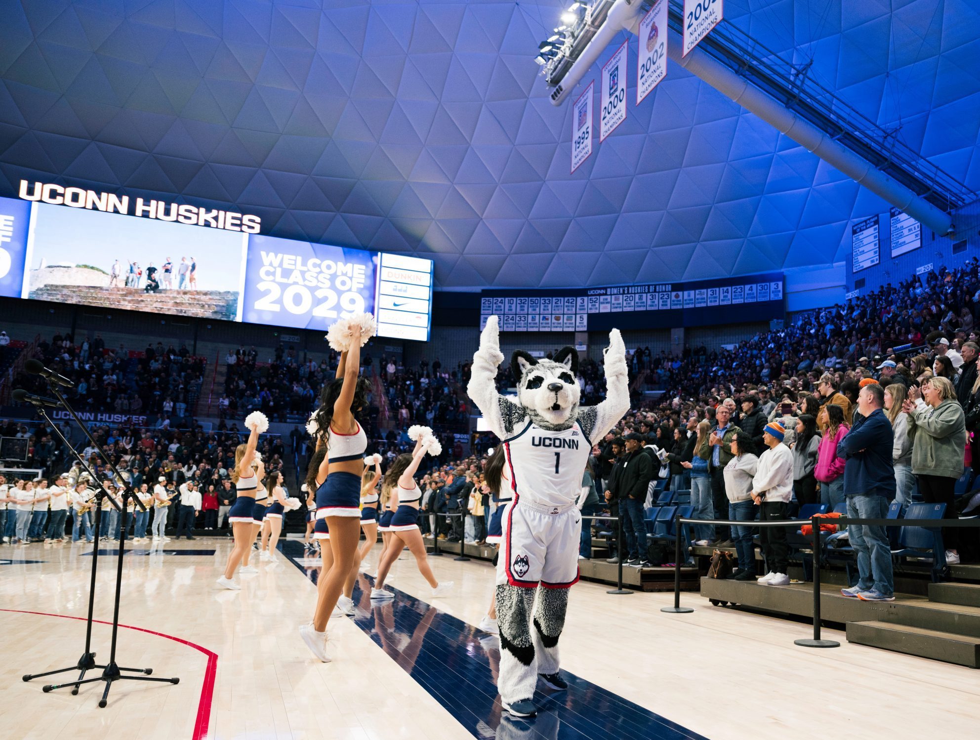 Jonathan the Husky mascot enthusiastically walks onto the basketball court in Gampel Pavilion during a spirited event, flanked by cheerleaders performing with pom-poms. A large crowd of spectators fills the stands, many standing and clapping.