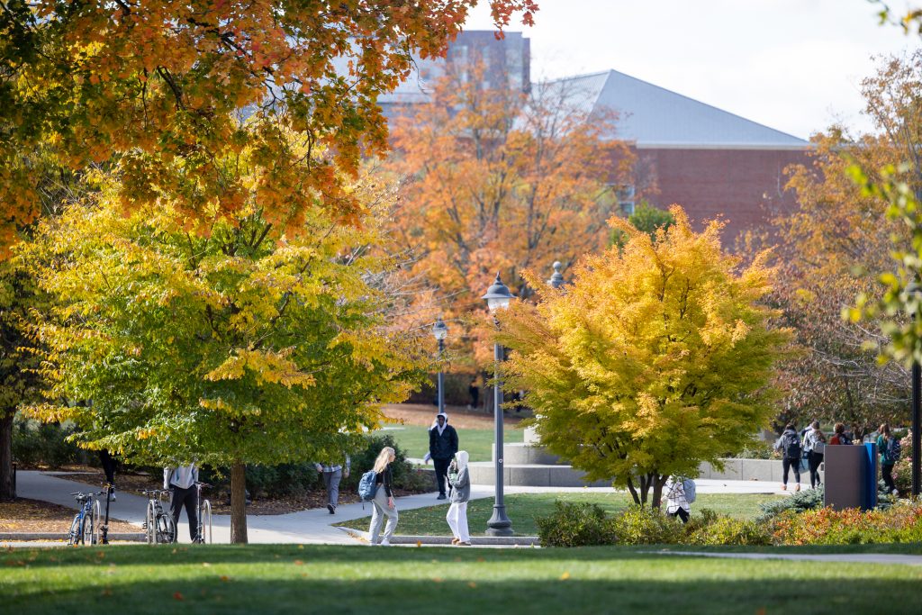 Yellow and orange fall foliage displayed on the Storrs campus
