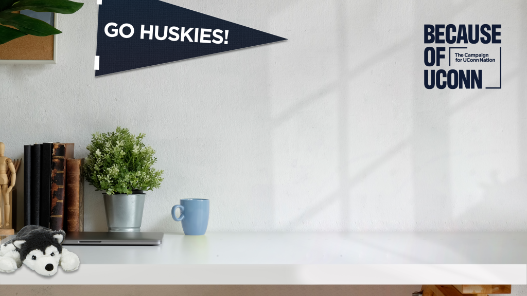 Desk with books, plant, coffee mug, and plush Husky toy. Wall has “Go Huskies!” pennant and “Because of UConn” campaign logo.
