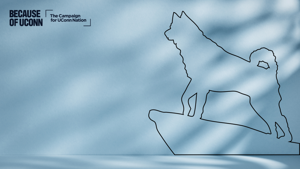 Light blue background with a black outline of the Jonathan the Husky statue and the Because of UConn campaign logo.