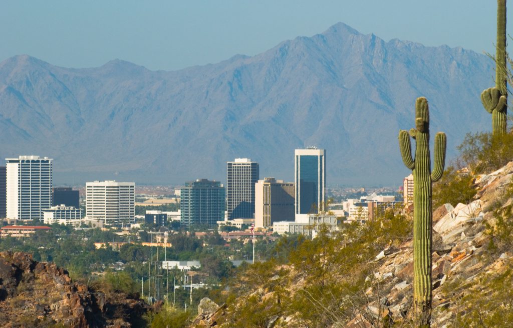 Phoenix Midtown skyline with mountains in the background and a cactus in the foreground