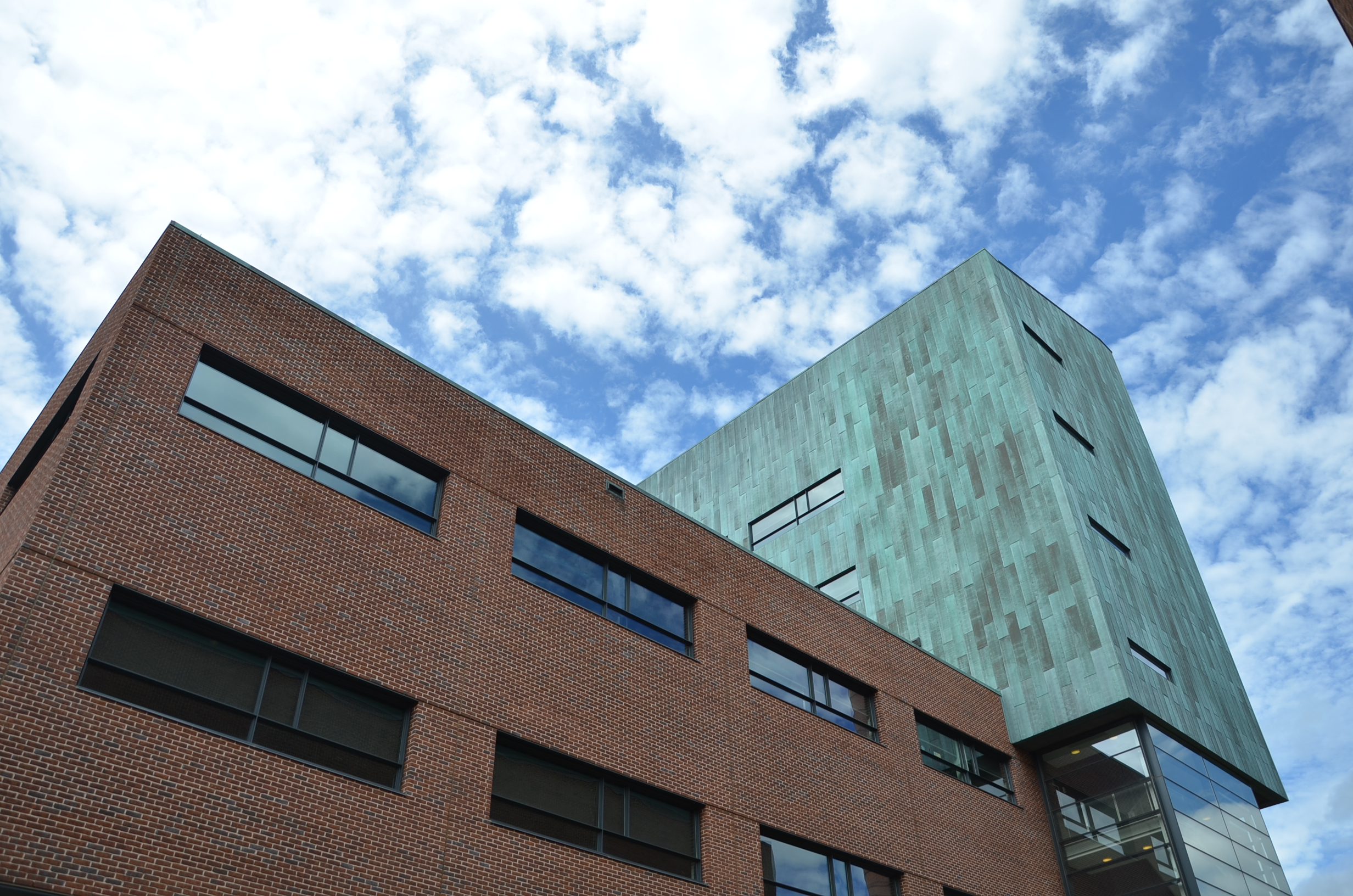 Jane Hirsh ’65 Seeds Non-Animal Testing Organ-on-a-Chip Initiative at UConn